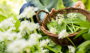 Fruits of the Forage